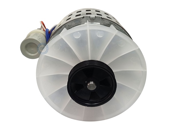 MOTOR WEG (L3420) LAVARROPA C&frasl; POLEA DREAN 56 RB SEMIAUTOMATICO 1&frasl;6HP  